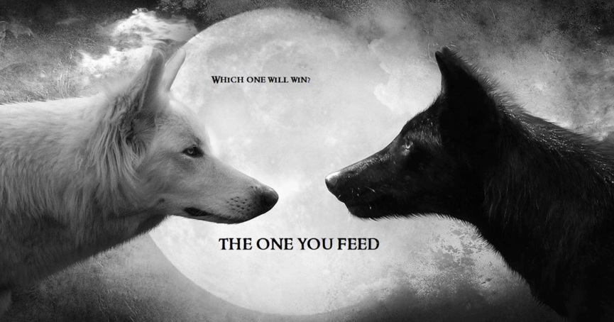 Which Wolf will Win