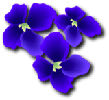 blue violets