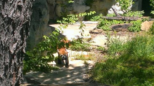 Zoo Scavenger Hunt (May 2014)